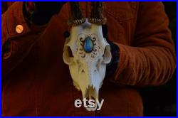 Véritable crâne de chevreuil avec cabochon de labradorite ORNEMENTS uniques sculpture de crâne meilleur cadeau Roe Buck crâne gravé décoration intérieure