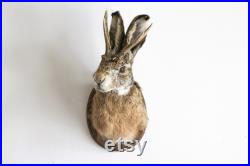 Véritable monture de taxidermie Jackalope tête de lapin avec cornes pour une décoration intérieure alternative