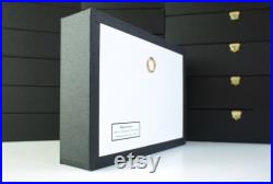 Véritable papillon naturalisé Chrysiridia rhipheus (Insecte, entomologie, taxidermie, curiosité)