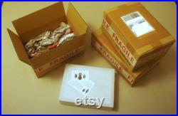 Véritable papillon naturalisé encadré Papilio helenus (Entomologie, taxidermie, insecte)