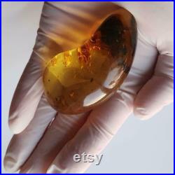 Véritable pierre d ambre baltique naturelle cinq insectes 31,4 g Inclusion mbar Genuino Ambra Autentica
