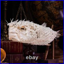 Véritable squelette de poisson-épic, taxidermie de poisson-globe, anatomie