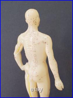 Vintage Corps Humain Acupuncture Chinoise Anatomie Médicale Bizarreries