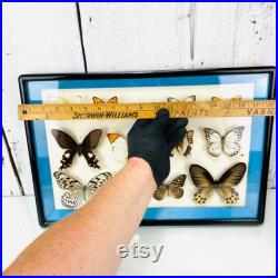 Vintage Glass Frame With Butterflies