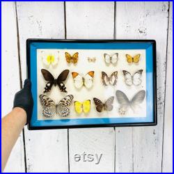 Vintage Glass Frame With Butterflies