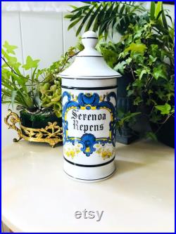 Vintage SERENOA REPENS Grand Pot à Pharmacie Porcelaine de Limoges Décor coquille volute végétale Polychrome, Collection Apothicaire France