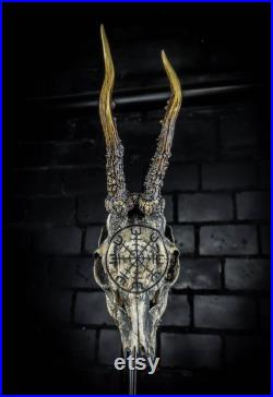 Vrai crâne de chevreuil gravé design bois Aegishjalmur vegvisir teinté de brun peint viking nordique led casque