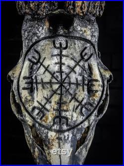 Vrai crâne de chevreuil gravé design bois Aegishjalmur vegvisir teinté de brun peint viking nordique led casque