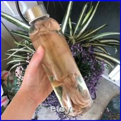 Vrai spécimen humide de calmar préservé dans un cylindre de bouteille en verre Taxidermie histoire naturelle