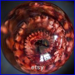Vrai spécimen humide de tentacule de poulpe rouge pieuvre éthique taxidermie bizarreries globe animal préservé sorcière des mers Ursula Boneyard oublié
