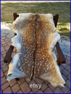 Vraie fourrure de daim fourrure cuir chaud peau de cerf avec fourrure chiffon de fourrure douce décor mural de couverture confortable