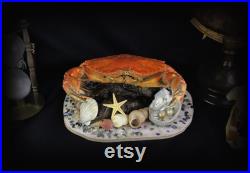 Vraie pièce de taxidermie de crabe sur un stand orné de vraies coquilles, étoiles de mer, vraies perles et verre de mer
