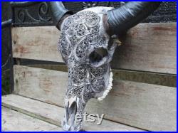 WATER buffalo skull carving hand carved buffalo skull with black horn