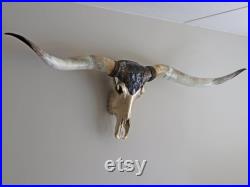 XXL Crâne Longhorn, grand crâne original décoré, vraies cornes, décoration rustique, décoration murale de bar et de restaurant, objet d art