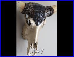 XXL Crâne Longhorn, grand crâne original décoré, vraies cornes, décoration rustique, décoration murale de bar et de restaurant, objet d art