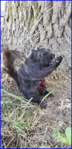 Zombie Taxidermy écureuil noir renversant la nouveauté de montage d oiseau obscure bizarreries de la faune de la faune chasse décor renard lapin coyote
