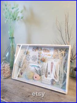 boite à curiosités marine