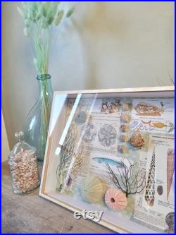 boite à curiosités marine