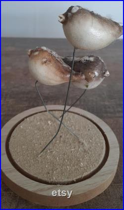 curiosité , taxidermie poissons globe sous cloche