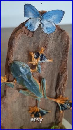 curiosité , taxidermie superbe grenouille sous globe