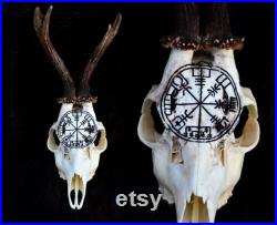 de la Saint-Valentin Vrai crâne de cerf Crâne de chevreuil sculpté avec bois cadeau de Noël parfait cadeau décoration maison crâne sculpture vegvisir viking rune