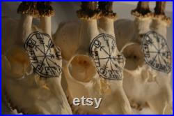 de la Saint-Valentin Vrai crâne de cerf Crâne de chevreuil sculpté avec bois cadeau de Noël parfait cadeau décoration maison crâne sculpture vegvisir viking rune