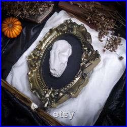 décoration gothique halloween crâne sous vêtements naturalisé taxidermie cabinet de curiosités exvoto corbeau sorcellerie vintage spécimen
