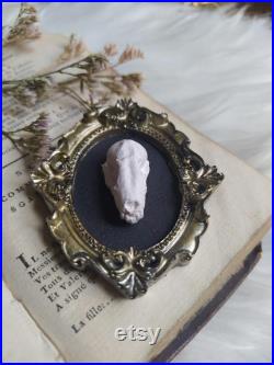 décoration gothique halloween crâne sous vêtements naturalisé taxidermie cabinet de curiosités exvoto corbeau sorcellerie vintage spécimen