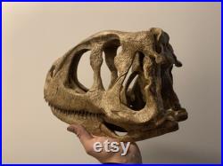 réplique crane dinosaure Rugops primus 40 cm museum quality