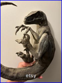 reproduction de Velociraptor endormi de 40 cm de diamètre