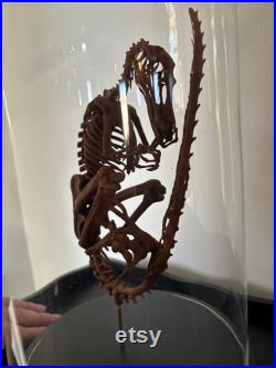 squelette de bébé velociraptor sous globe de 40 cm
