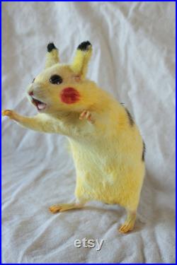 taxidermie MIGNON rat PIKA dessin animée japonais taxidermy rat PIKA curiosité