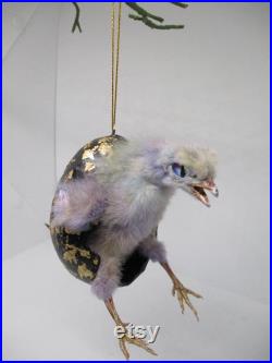 taxidermie d oiseau vrai poussin de bébé busting hors de l oeuf de Pâques