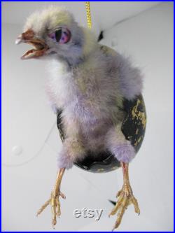 taxidermie d oiseau vrai poussin de bébé busting hors de l oeuf de Pâques