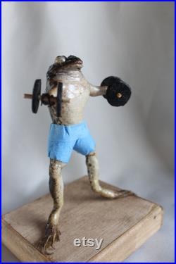 taxidermie grenouille haltère musculation taxidermy 'haltérophilie frog curiosité oditties