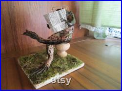 taxidermie grenouille lectrice taxidermy frog lecteur cabinet de curiosité oditties taxidermie grenouille lectrice taxidermy frog lecteur cabinet de curiosité oditties