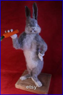 taxidermie lapin cartoon rongeur taxidermy rabbit curiosité oditties