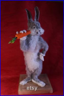 taxidermie lapin cartoon rongeur taxidermy rabbit curiosité oditties