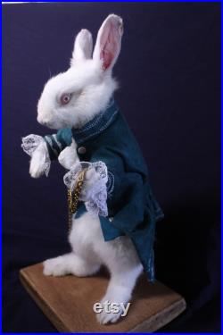 taxidermie lapin conte pays des merveilles rongeur taxidermy rabbit curiosité oditties