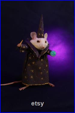 taxidermie petit rat sorcier magicien Illuminescences taxidermy rat sorcerer souris cabinet de curiosité odditties taxidermie petit rat sorcier magicien Illuminescences taxidermy rat sorcerer souris cabinet de curiosité odditties