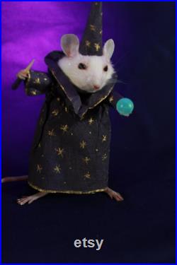 taxidermie petit rat sorcier magicien Illuminescences taxidermy rat sorcerer souris cabinet de curiosité odditties taxidermie petit rat sorcier magicien Illuminescences taxidermy rat sorcerer souris cabinet de curiosité odditties