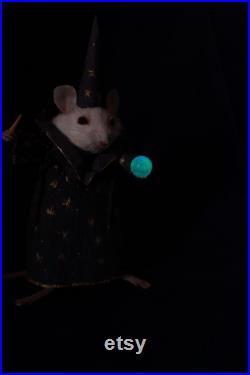 taxidermie petit rat sorcier magicien Illuminescences taxidermy rat sorcerer souris cabinet de curiosité odditties taxidermie petit rat sorcier magicien Illuminescences taxidermy rat sorcerer souris cabinet de curiosité odditties