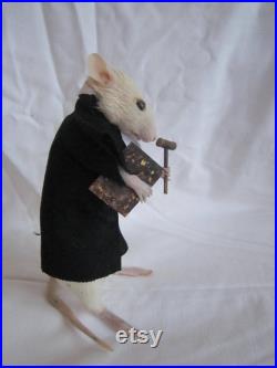 taxidermie rat juriste taxidermy rat curiosité oditties