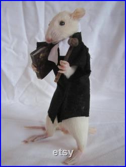 taxidermie rat juriste taxidermy rat curiosité oditties