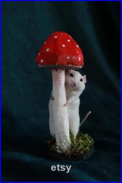 taxidermie rat mouse champignon taxidermy rat mushroom curiosité oditties