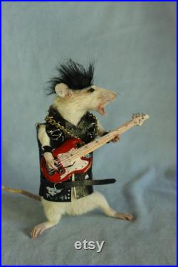 taxidermie rat punk guitar rock star taxidermy rat punk rockeur cabinet de curiosité oditties