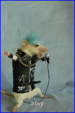 taxidermie rat punk rock star taxidermy rat punk rockeur cabinet de curiosité oditties