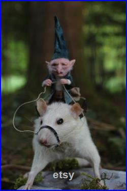 taxidermie rat taxidermy rat monture sculpture a la main miniature fée, elfe, gnome taxidermie rat taxidermy rat monture sculpture a la main miniature fée, elfe, gnome
