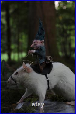 taxidermie rat taxidermy rat monture sculpture a la main miniature fée, elfe, gnome taxidermie rat taxidermy rat monture sculpture a la main miniature fée, elfe, gnome