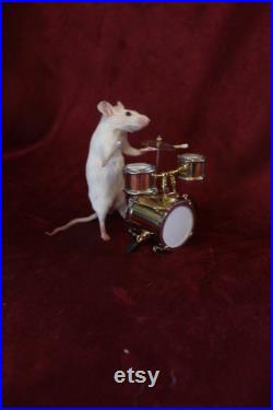 taxidermie souris batteur taxidermy mouse musicienne cabinet de curiosité